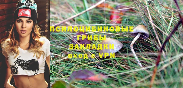 ПСИЛОЦИБИНОВЫЕ ГРИБЫ Лабытнанги